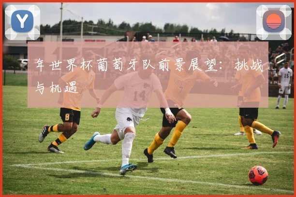 年世界杯葡萄牙队前景展望：挑战与机遇