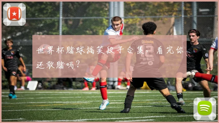 世界杯赌球搞笑段子合集,看完你还敢赌吗?