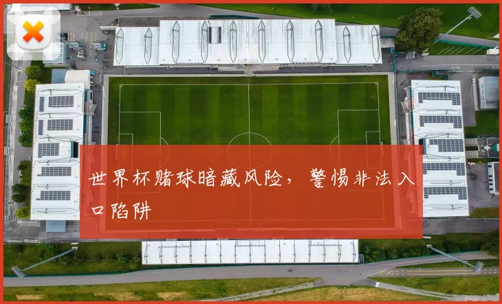 世界杯赌球暗藏风险,警惕非法入口陷阱