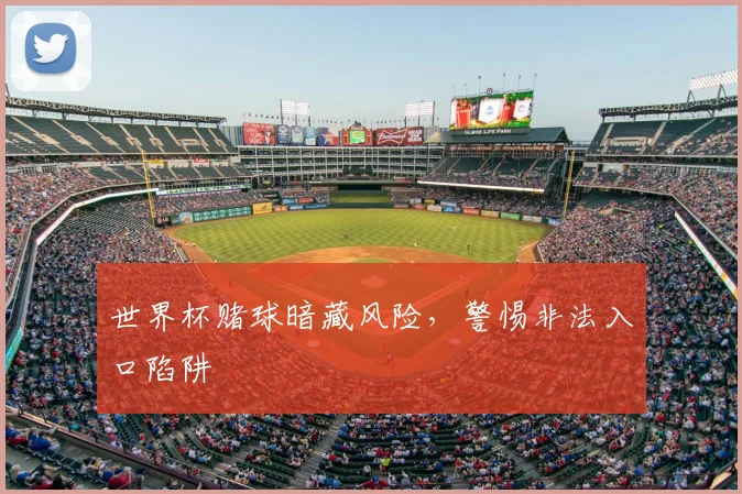 世界杯赌球暗藏风险,警惕非法入口陷阱