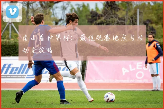 南山看世界杯：最佳观赛地点与活动全攻略