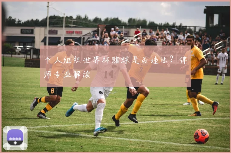 个人组织世界杯赌球是否违法？律师专业解读