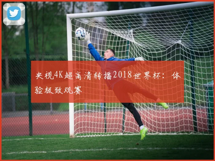 央视4K超高清转播2018世界杯：体验极致观赛