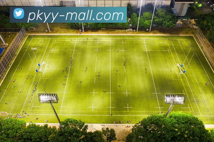 开云综合app官网登录APP 高清赛事图